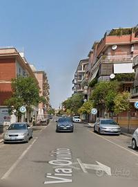 Pomezia bilocale ammobiliato