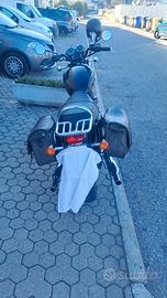 Triumph Bonneville - 2014