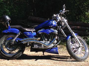 Harley Davidson special sportster