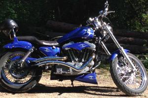 Harley Davidson special sportster