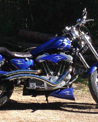 Harley Davidson special sportster