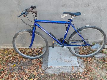 bicicletta