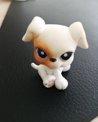 Littlest PET SHOP