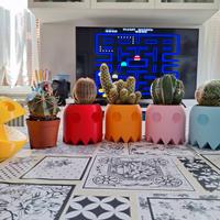 Vasi con Piante grasse incluse PACMAN