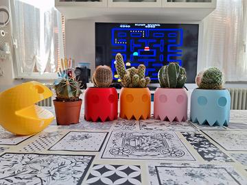 Vasi con Piante grasse incluse PACMAN