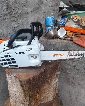Motosega  Stihl MS 194 C Carving