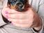 Immagine 4