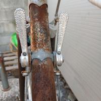 Bicicletta da corsa Campagnolo