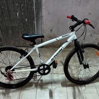 bicicletta MTB ruota 24 