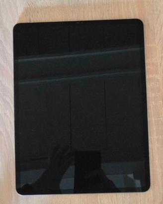 IPad Pro 5a generazione 256gb