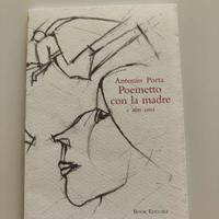 Antonio Porta "Poemetto con la madre"