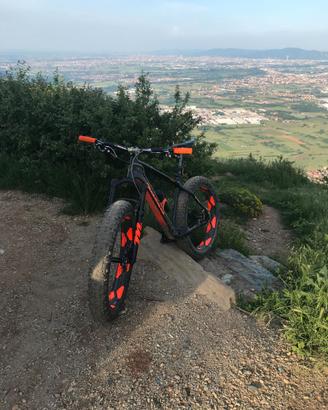 FAT BIKE BEARGREASE CARBON