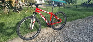 MTB FOCUS per ragazzo ruote 26 pollici