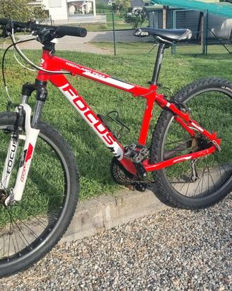MTB FOCUS per ragazzo ruote 26 pollici