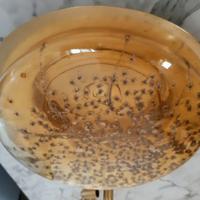 Plafoniere Vetro di Murano 2 pezzi