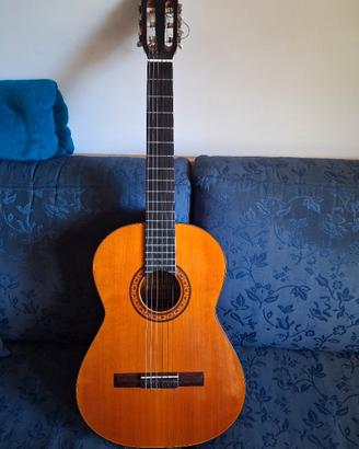 Chitarra classica Suzuki  102