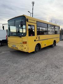 Scuola bus Iveco cacciamali