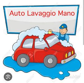 Auto lavaggio