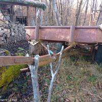 Rimorchio agricolo vintage.