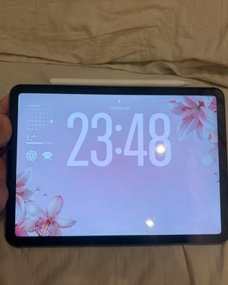 ipad air 11”