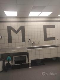 Negozio di toelettatura più pensione cani