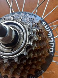 ruota Italy Beretta con Shimano 26