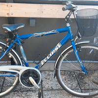 bicicletta da passeggio 