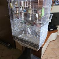 Cocorito + Voliera