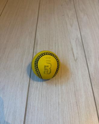 PALLA DA BASEBALL TEMMATE