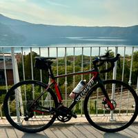 2017 Specialized Roubaix