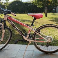 Bottecchia Boss 24" ammortizzata in buono  stato 