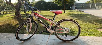 Bottecchia Boss 24" ammortizzata in buono  stato 