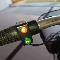 bici elettrica 