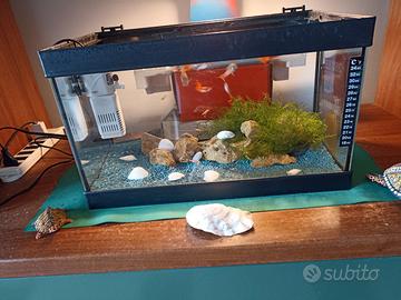 Acquario+ Pesci