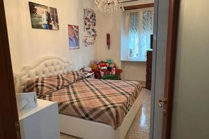 Trilocale fronte facoltà economia