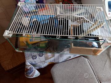 Acquario 60 l  per tartarughe con accessori vari 