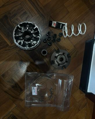 Viariatore Malossi Sh350