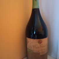 vino barbera 1964