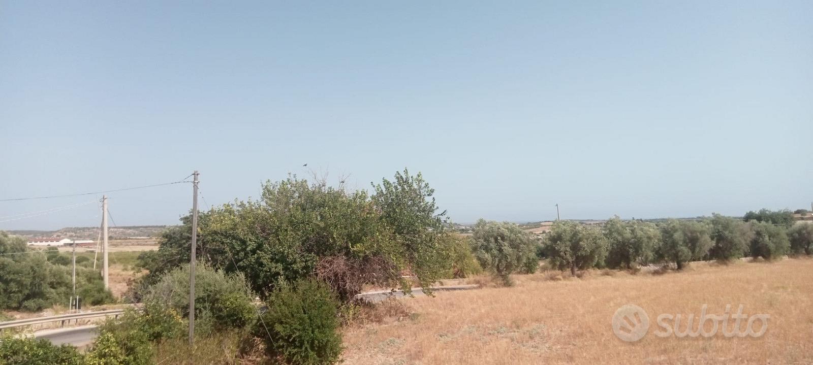 Terreno agricolo Ispica contrada Scorsone, 7300 mq - Vista 3