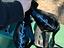 Immagine 5