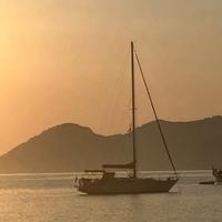 Impala 35 - Spakman&Stephens