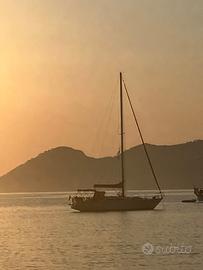 Impala 35 - Spakman&Stephens