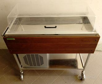Carrello Portavivande Espositore caldo freddo 220V