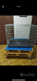 Kennel nuovo
