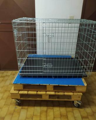 Kennel nuovo