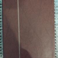 raccoglitore  francobolli sudamerica