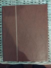 raccoglitore  francobolli sudamerica