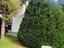 Immagine 16