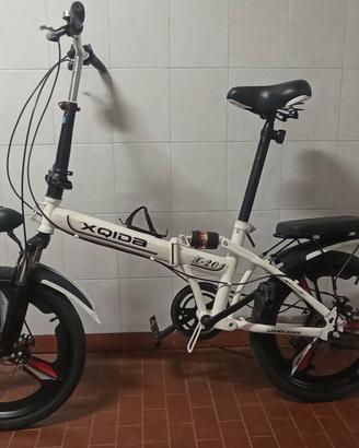 Bici pieghevole e bici semplice