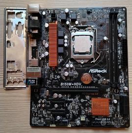 Scheda madre Asrock B150M-HDV
